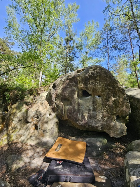 03 Bleau 2024.jpg